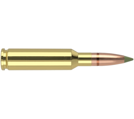 Brass Cased Ammo